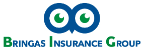 Bringas Insurance Group Logo